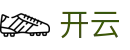 开云世界杯决赛圈门票争夺投注